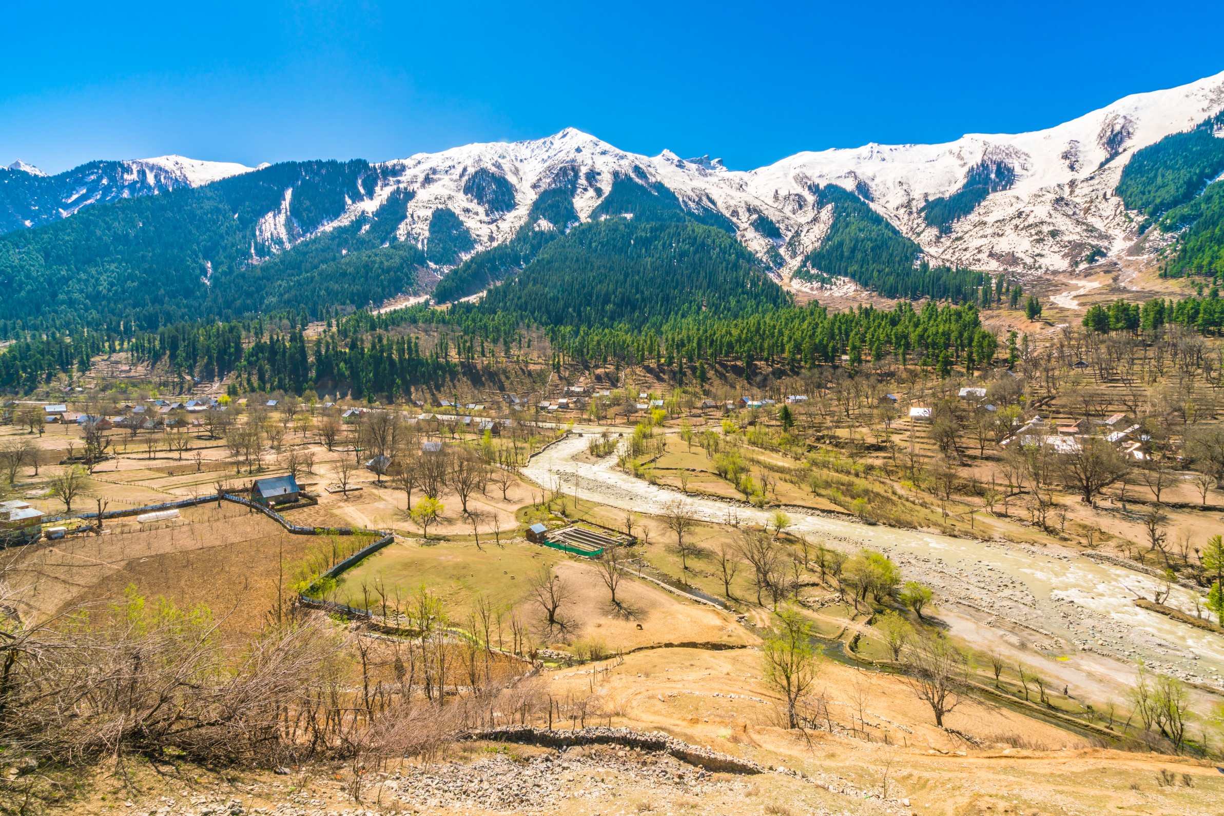 Betaab Valley Pahalgam